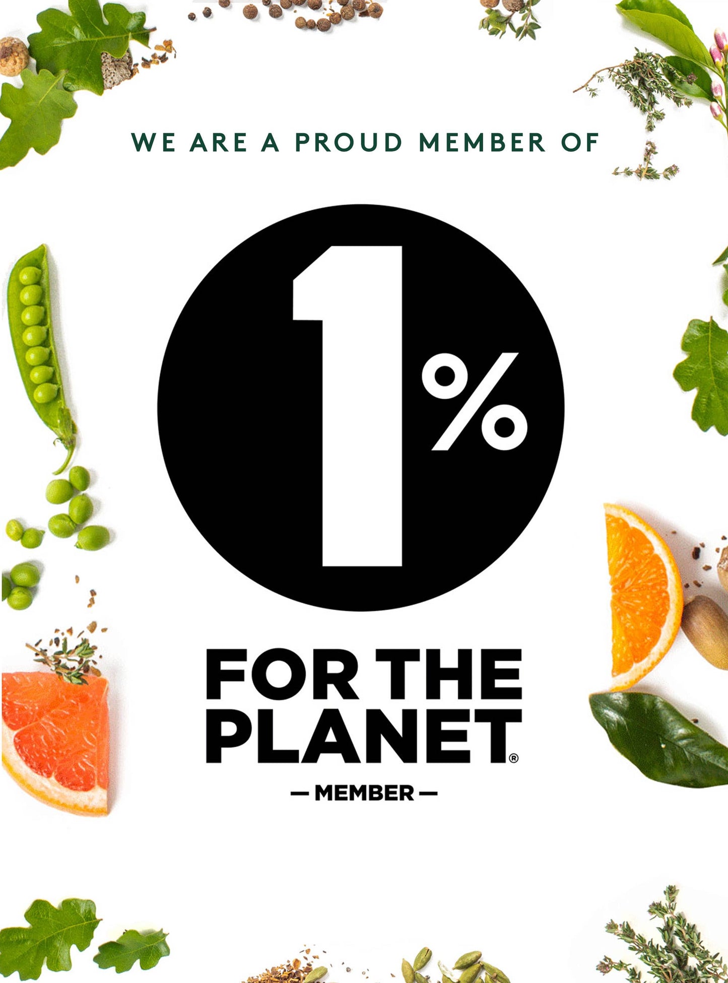 Seedlip Garden 108, NA Spirit