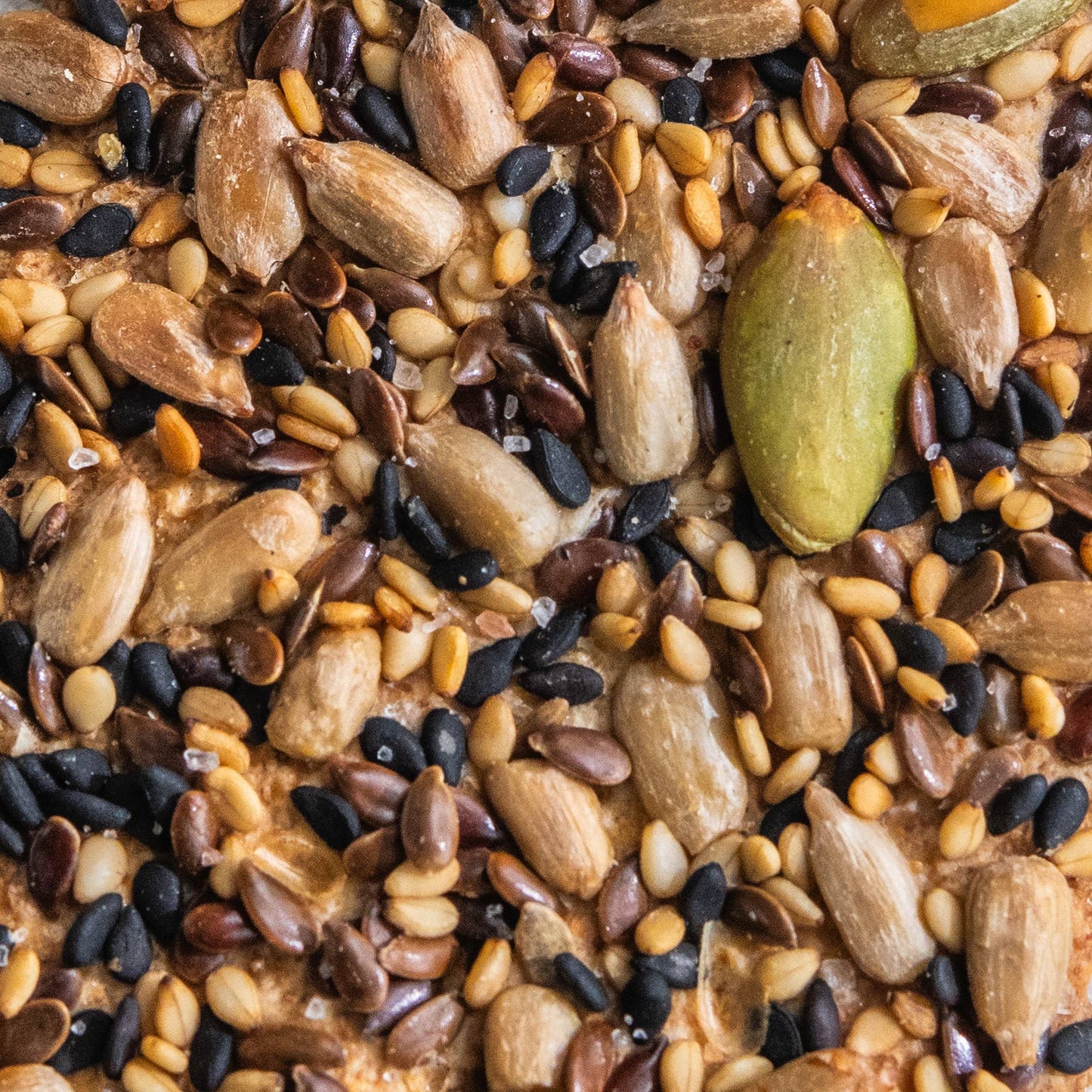 Seeded Olive Oil Flatbreads, Potters Table