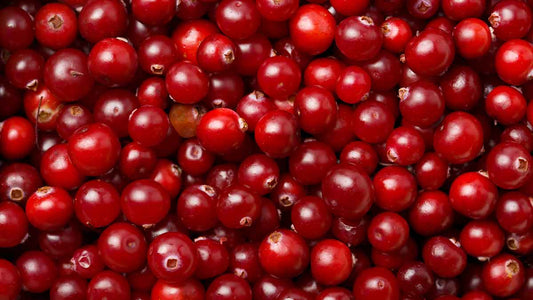 Organic Cranberries, Cape Cod